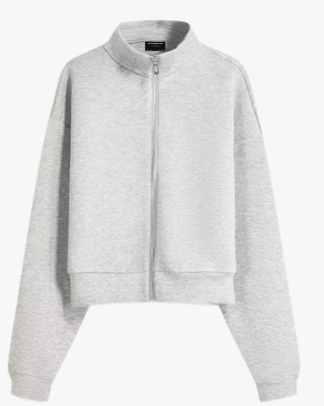Riot Leveret Club light gray Glitch Zip-Up Sweater in boxy cropped fit, 550 GSM heavyweight fleece and white background 